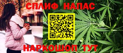 МДПВ Волгодонск