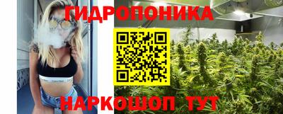 a pvp Волжск