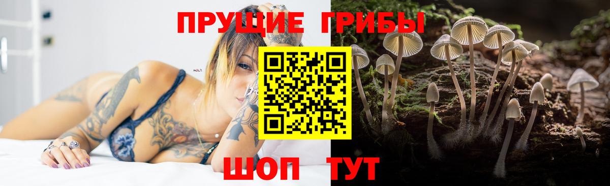 Новороссийск  Псилоцибиновые грибы MAGIC MUSHROOMS  Вход с VPN 